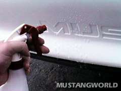 Spray down with soapy water